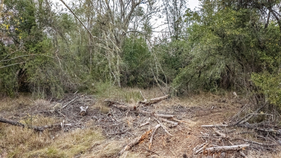 Commercial Property for Sale in Sedgefield Rural Western Cape